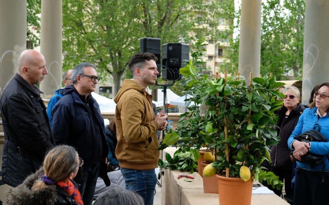 CORSO IN PILLOLE “Agrumi: Coltivazione e gestione” (PER ADULTI)