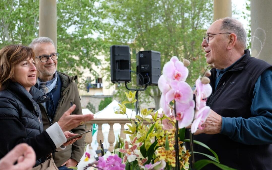 CORSO IN PILLOLE “Orchidee: Coltivazione e gestione” (PER ADULTI)