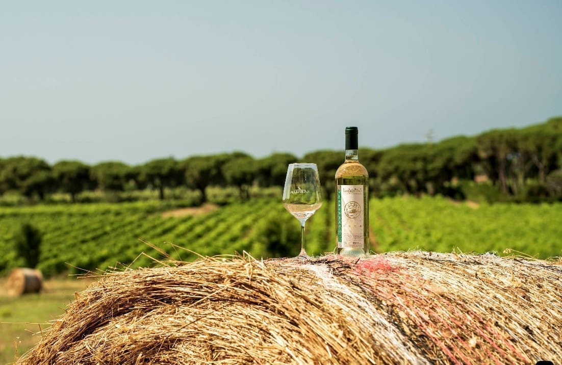 Acquabona Vini - Azienda Vinicola